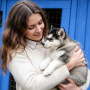 Дог трекинг 3,5 км: посещение питомника и прогулка с ездовой собакой в Екатеринбурге