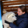 Посещение питомника ездовых собак в Екатеринбурге