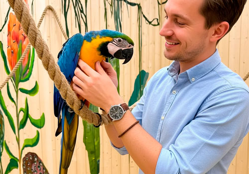 Галерея птиц Попугайня в Екатеринбурге