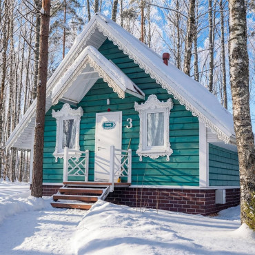 Коттедж "Дом-Студия в лесу"