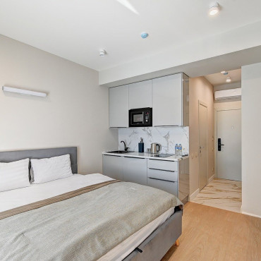 Номер "Студия с видом на парк 210"