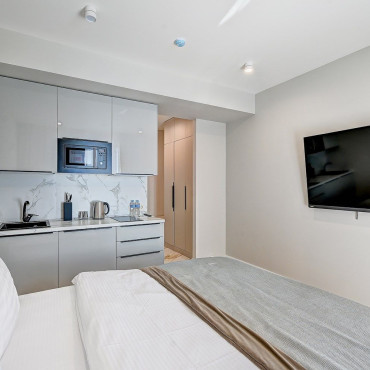 Номер "Студия с видом на парк 210"