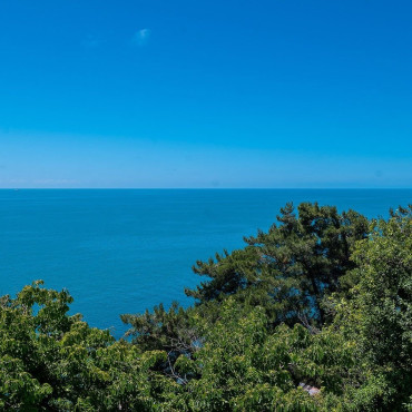 Номер "Студия прямым видом на море 319"