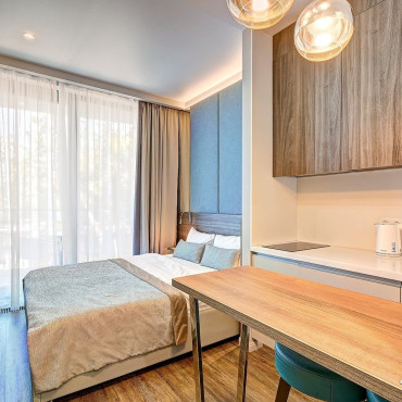 Номер "Студия видом на море парк 316"