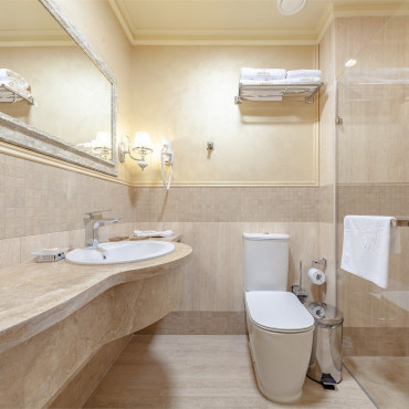 Номер "Junior Suite (одноместный)"