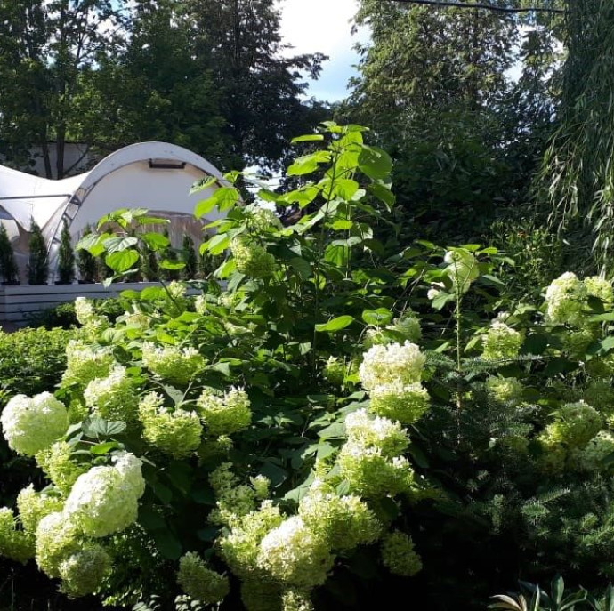 Арт-отель «Пушкино»