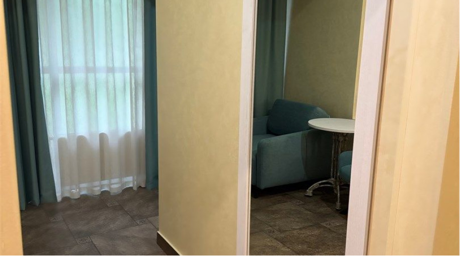 Номер "Обновленный люкс"