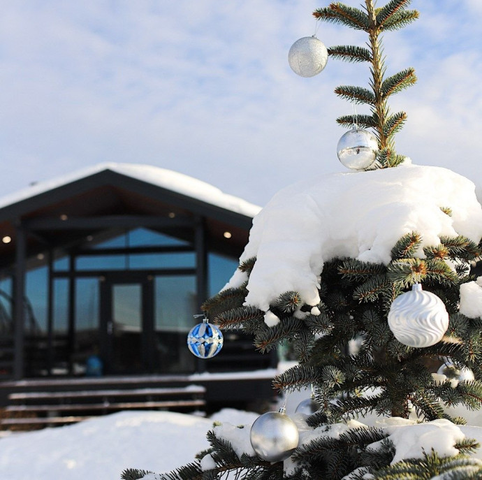 Домик в Икше