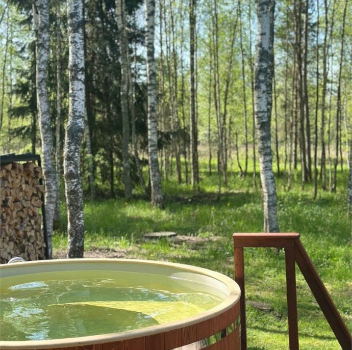 Домик в соснах