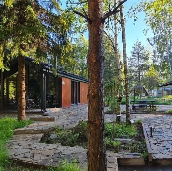 Домик в соснах