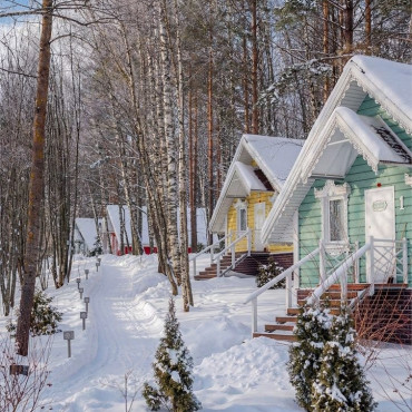 Коттедж "Дом-Студия в лесу"