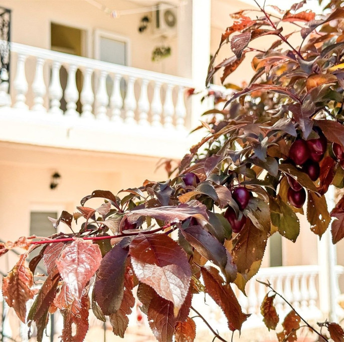 Гостевой дом Дружба