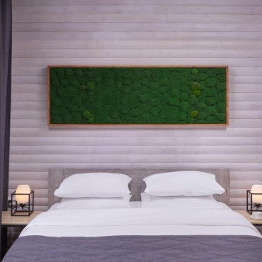 Номер "Люкс "Лесной""