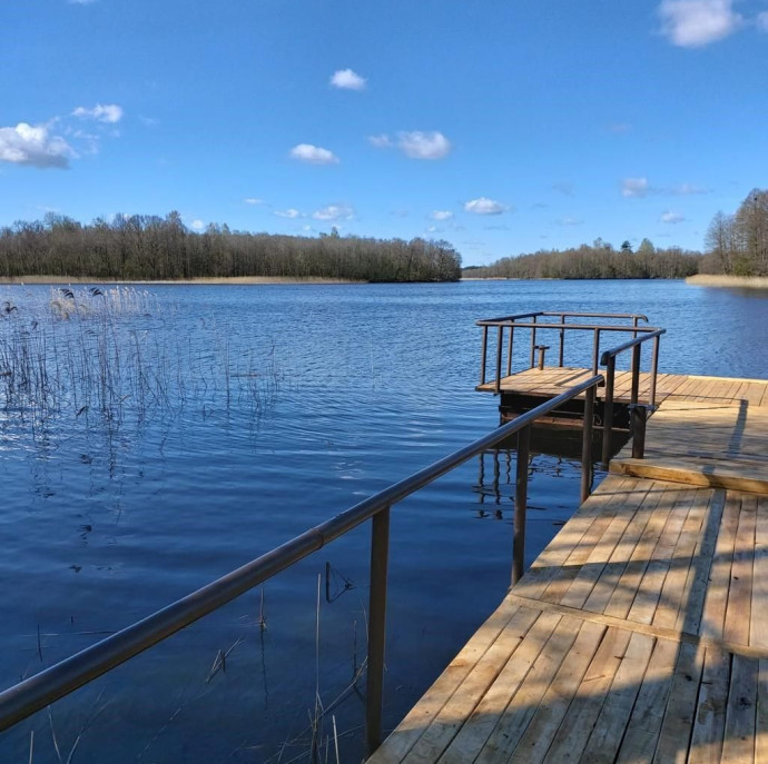 Лесная Гавань