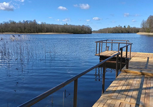 Лесная Гавань