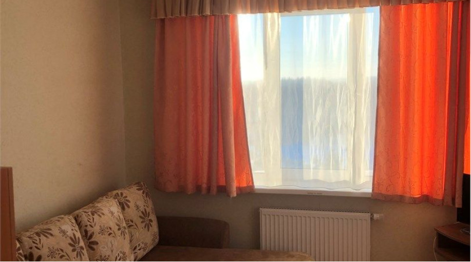 Номер "Эконом двухместный номер 2х Спальный диван"