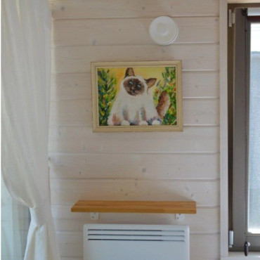 Дом "Кошкин дом"