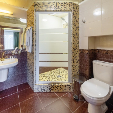 Номер "Полулюкс с душевой кабиной"