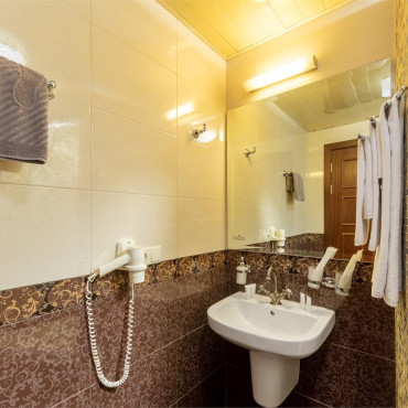 Номер "Полулюкс с душевой кабиной"