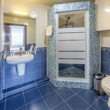 Номер "Полулюкс с душевой кабиной"