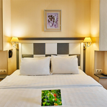 Номер "Стандартный номер с одной двуспальной кроватью"