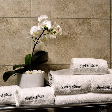 Номер "MINI LUX (комфорт бизнес)"