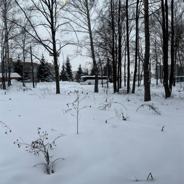 Номер "Номер Первой Категории (Особняк)"