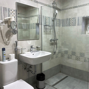 Номер "Номер Первой Категории (Особняк)"