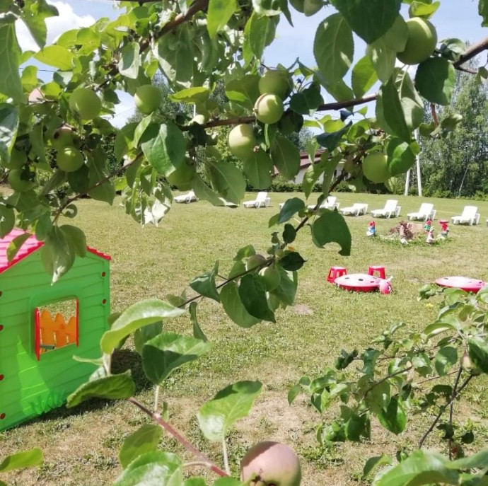 Шале (Руза, Московская область)