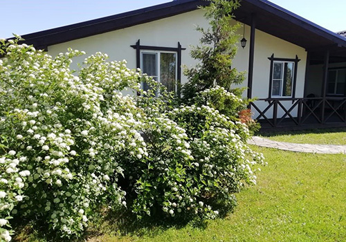 Шале (Руза, Московская область)