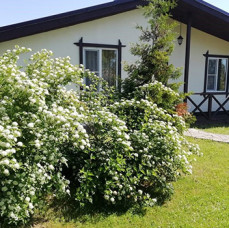 Шале (Руза, Московская область)