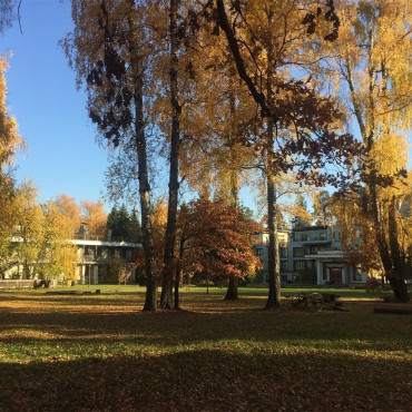 Номер "Бутик-Арт-отель Клён - Люкс с террасой"