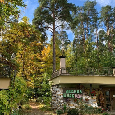 Коттедж "Лесная слобода-шале (гостиная с камином +спальня +верхние покои -полати)"