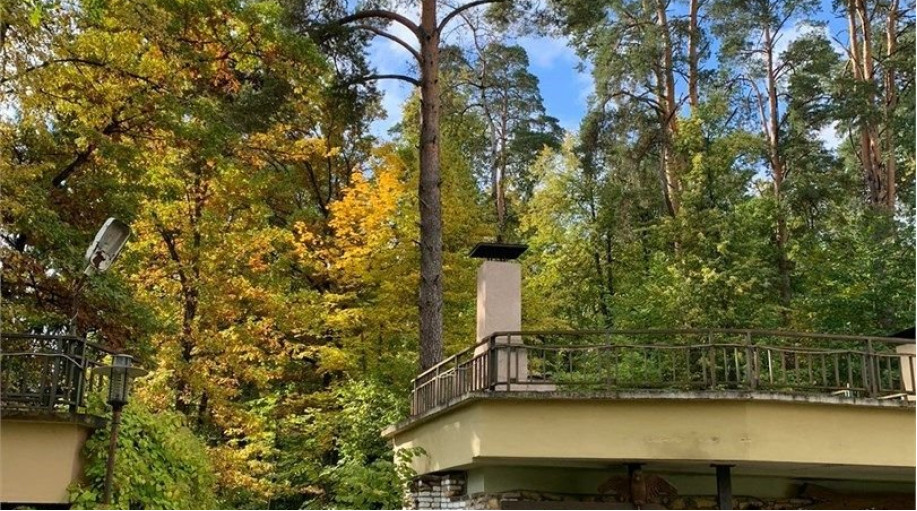 Коттедж "Лесная слобода-шале (гостиная с камином +спальня +верхние покои -полати)"