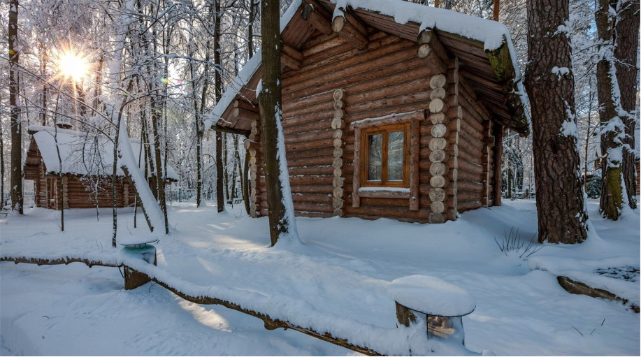 Коттедж "Лесная слобода-шале (гостиная с камином +спальня +верхние покои -полати)"
