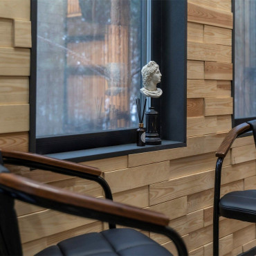 Дом "Зеркальный дом на дереве"