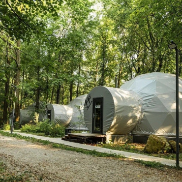 Номер "Геокупол лес"