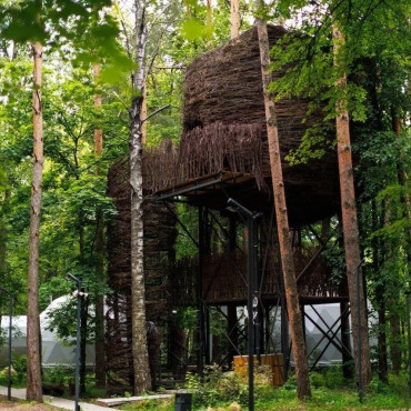 Номер "Гнездо на дереве"