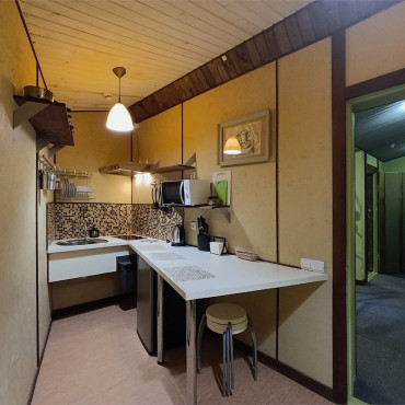 Номер "Апартаменты с кухней «Мансарда» 2-х комнатные"