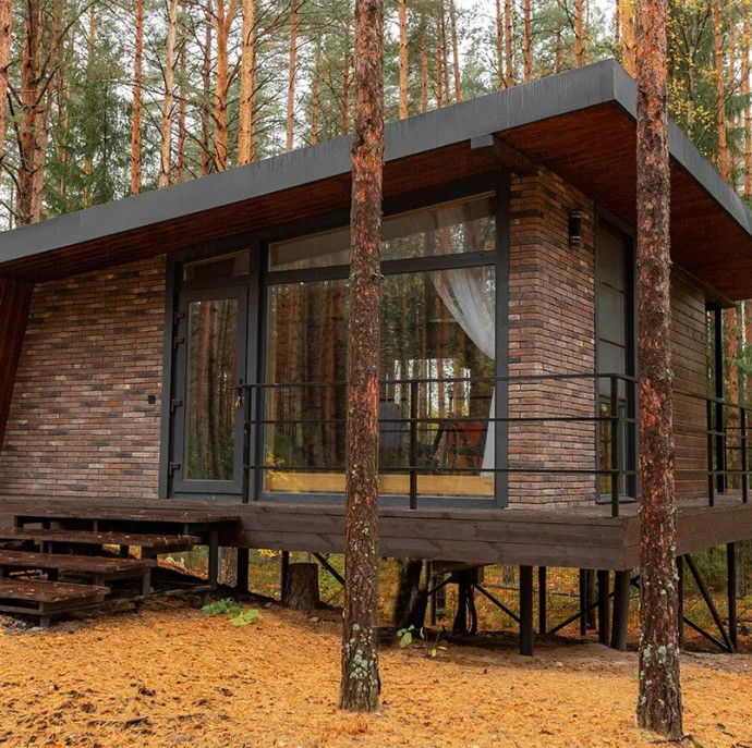 Вино и Сосны