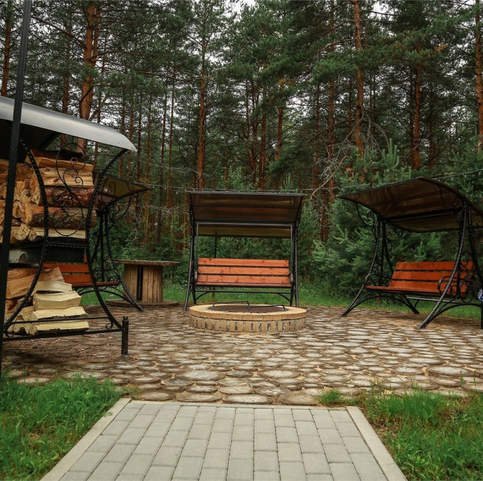 Вино и Сосны