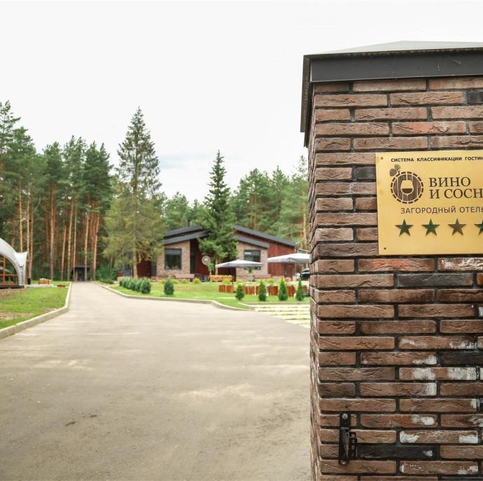 Вино и Сосны