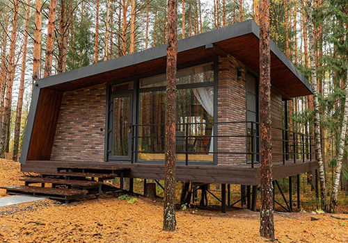 Вино и Сосны