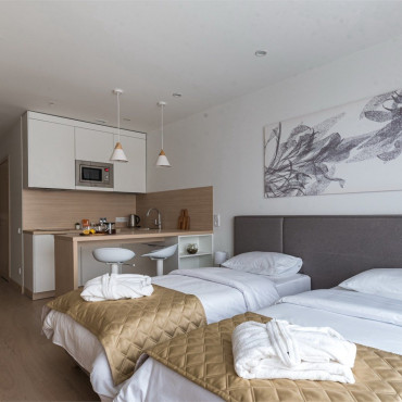 Аппартаменты "Супериор с видом на парк (Ботаника)"