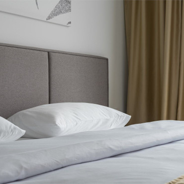 Аппартаменты "Полулюкс двухкомнатный номер (Ботаника)"