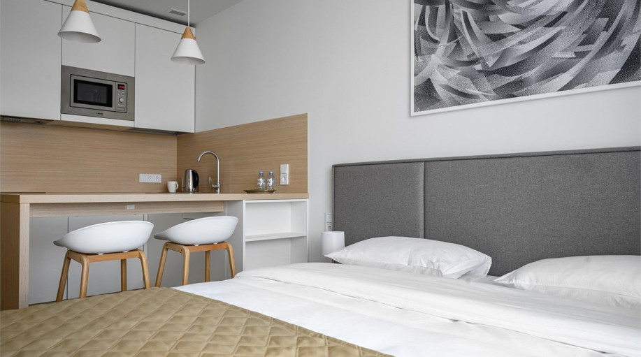 Аппартаменты "Стандарт с видом на Остров Мечты (Технопарк)"