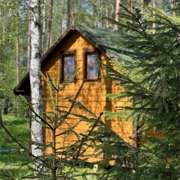 Коттедж "Дом с 3 спальнями, с сауной"