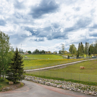 Номер "Номер "Стандарт без балкона" - ЭКОГОСТИНИЦА"