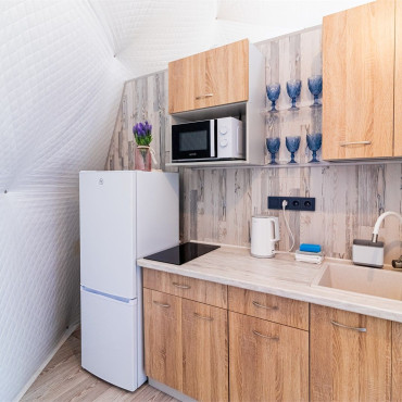 Дом "Купол «Петроглифы»"