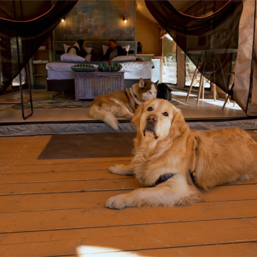 Палатка "Лодж на холме вид на озеро"